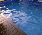 Όμορφη ιδιωτική πισίνα για τις ζεστές μέρες του καλοκαιριού